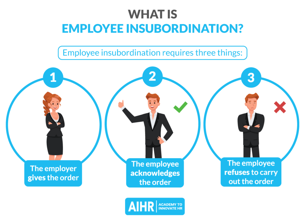What is Employee Insubordination